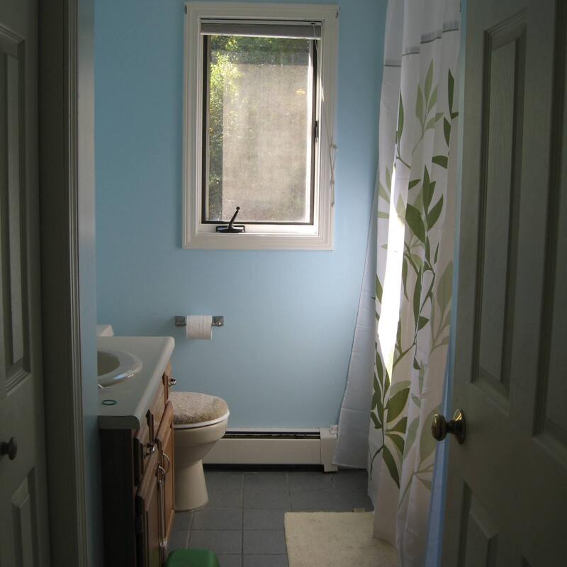 Before - Tub, toilet, tile, vanity and closet to be removed.